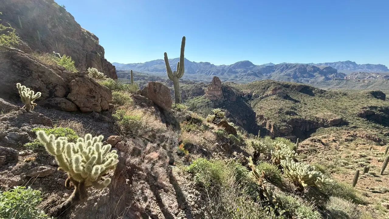 Queen Creek Homes For Sale