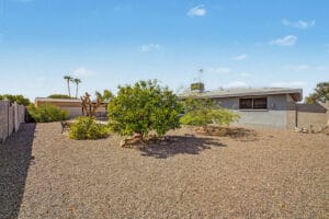 Low-maintenance backyard view